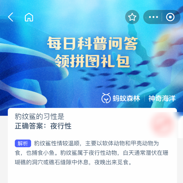 豹纹鲨的习性揭秘：为什么它们是夜行性动物？-景澄手游网