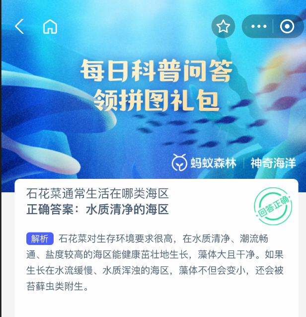 2025年8月13日神奇海洋问题解析-景澄手游网