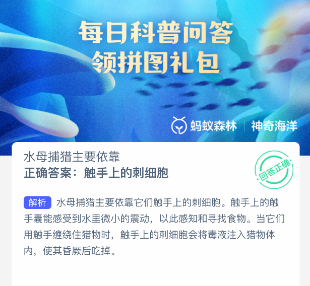 2025年8月4日蚂蚁森林题目：水母捕猎机制解析-景澄手游网