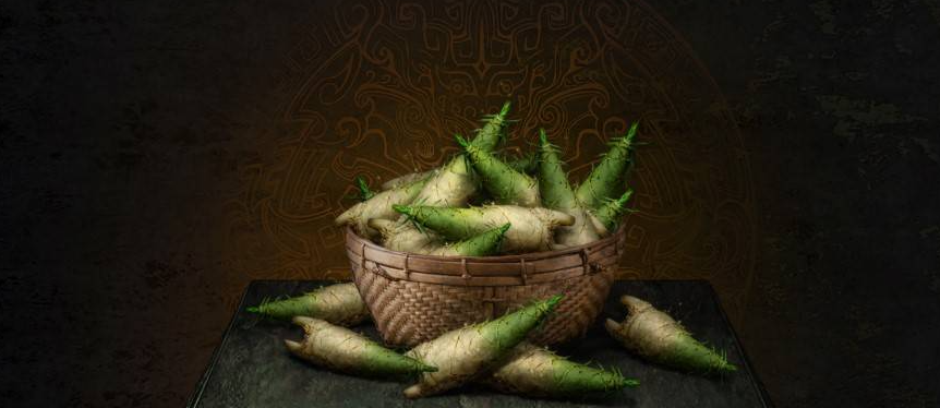 《明末渊虚之羽》满载而归成就：20个笋精的收集指南-景澄手游网