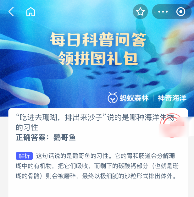 神奇海洋答案：鹦哥鱼，吃珊瑚排沙子的海洋小能手-景澄手游网
