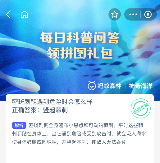神奇海洋答案：密斑刺鲀遇险秒变”刺球”，竖起棘刺吓退捕食者-景澄手游网