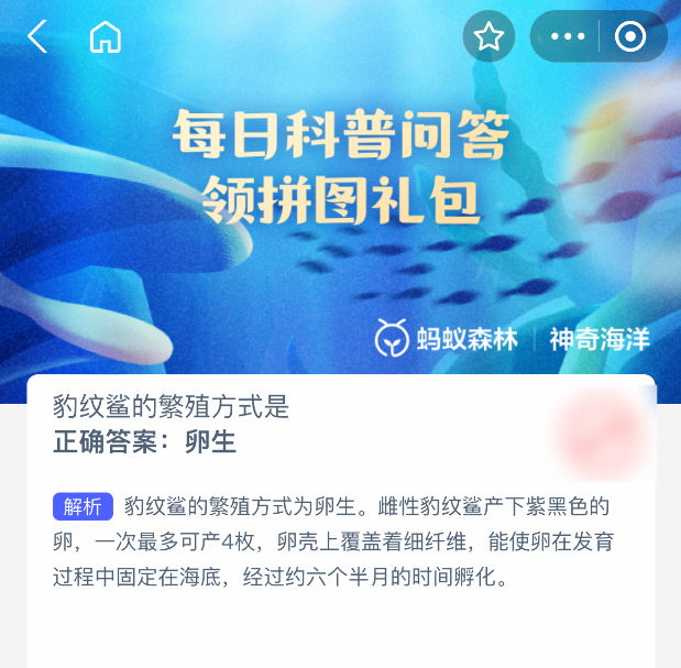 神奇海洋2025年7月31日答案｜豹纹鲨的繁殖方式-景澄手游网