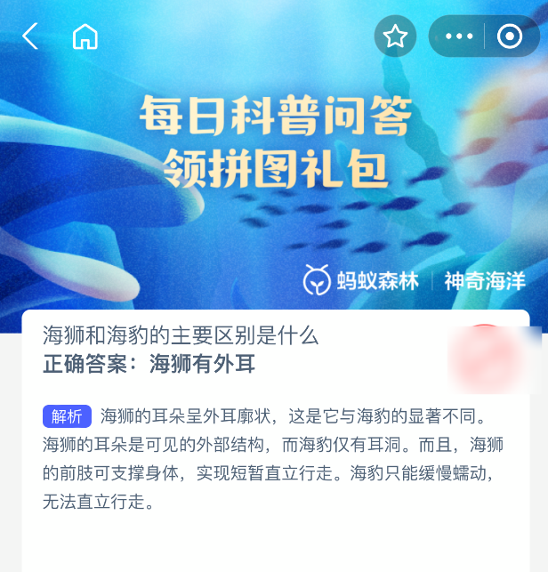 神奇海洋小知识：海狮与海豹的”耳朵”秘密-景澄手游网