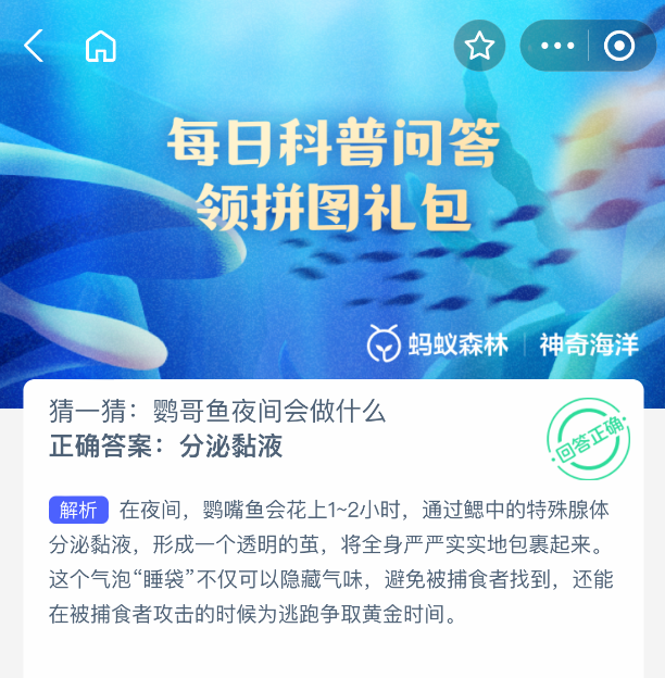 神奇海洋每日问答：鹦哥鱼夜间行为解析-景澄手游网