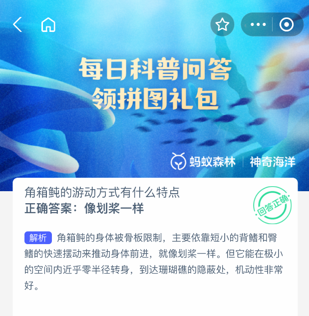角箱鲀的游动方式解析：支付宝神奇海洋8月5日答案揭秘-景澄手游网