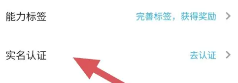 代练丸子实名认证查询指南-景澄手游网