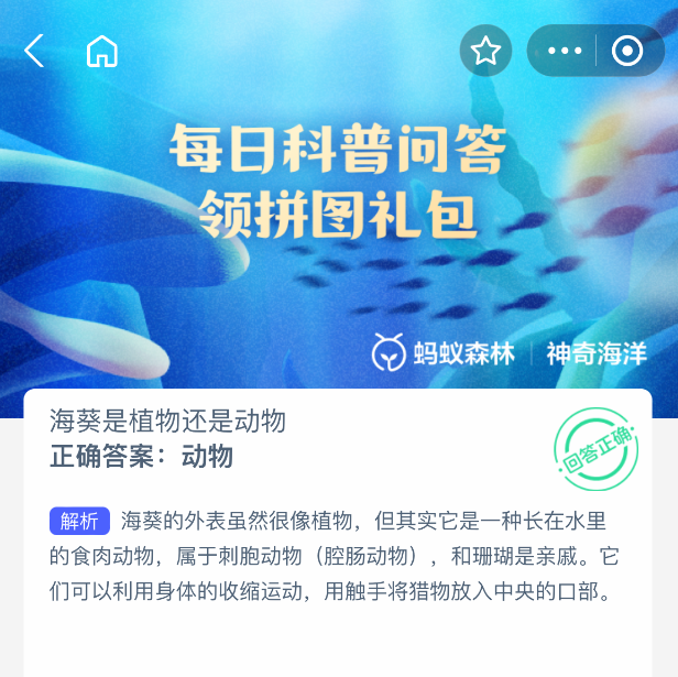 海葵是植物还是动物？神奇海洋2025年8月21日答案解析-景澄手游网