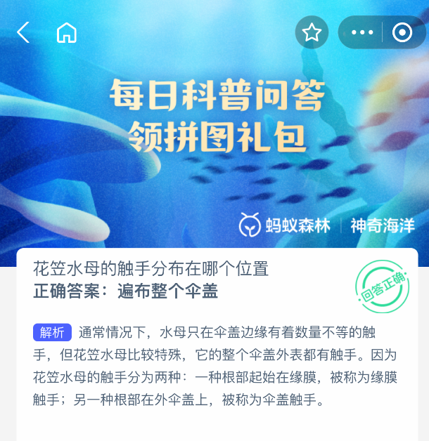 2025年8月12日支付宝蚂蚁森林神奇海洋题目花笠水母触手分布解析-景澄手游网