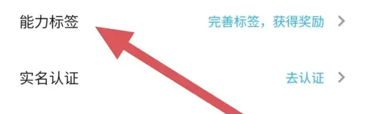代练丸子能力标签查看指南-景澄手游网