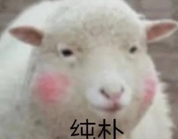 无限流量限速再买流量可以恢复么?无限流量限速问题解决方案-赫兹号卡网-赫兹通讯