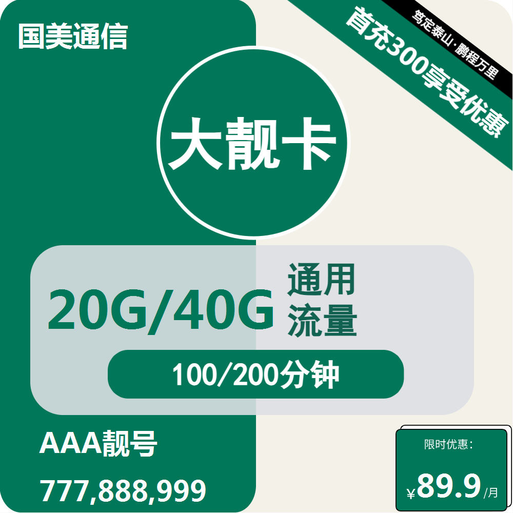 <font color=#FF0000>【已下架】</font>移动国美大靓卡89.8元20G/40G通用流量+100/200分钟通话-赫兹号卡网-赫兹通讯