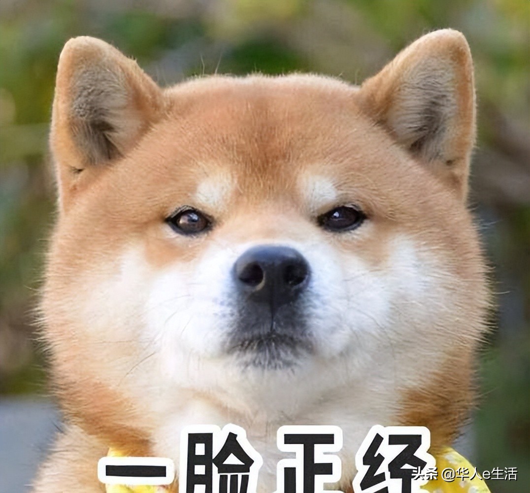 maxis充流量下月清零吗,激活充值等问题讲解