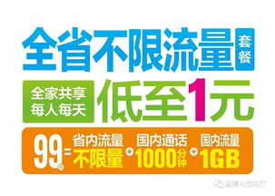 贵州电信99元无限流量套餐解析:优势、对比与办理全指南-赫兹号卡网-赫兹通讯