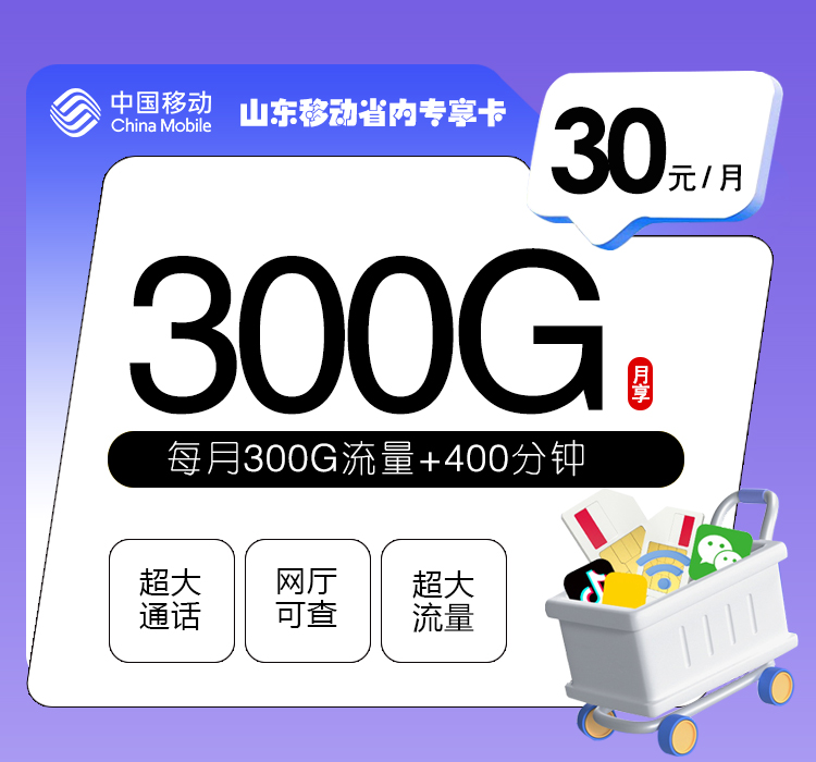 <font color=#FF0000>【已下架】</font>山东移动省内专享卡30元300G流量(30G全国+270G省内)+400分钟通话-赫兹号卡网-赫兹通讯