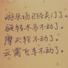 棕熊撼山的头像-赫兹号卡网-赫兹通讯