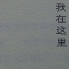 Ironveil的头像-赫兹号卡网-赫兹通讯