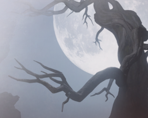 白狼主战斗场景