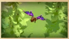 堕影仙女龙技能界面