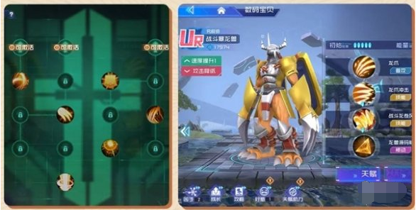 技能搭配示意图