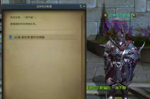 花基纳任务界面