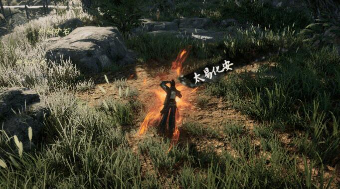 太易化安功体特效