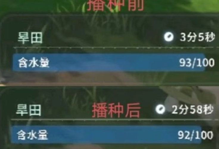 宠物技能效果