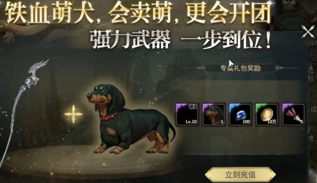 基础宠物示意图