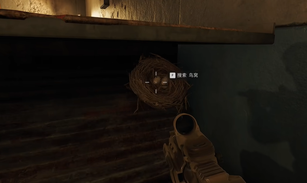 地下通道鸟窝位置