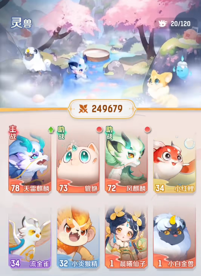 资质选择示意图