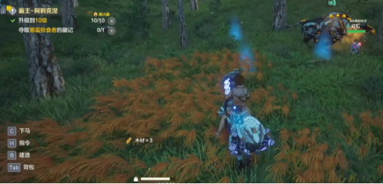 饰品系统界面展示图