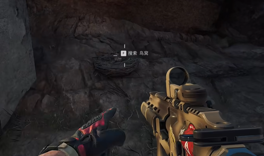 白色房子角落鸟窝位置