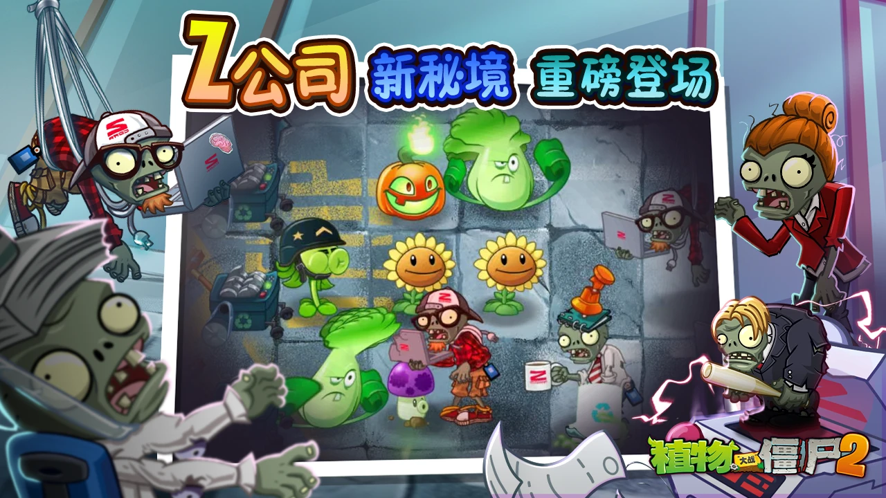 Z公司秘境