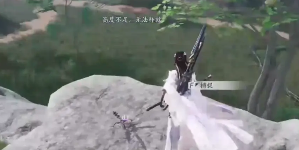 捕捉提示:高度不足