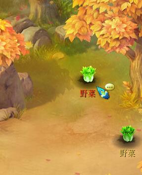 野菜采集