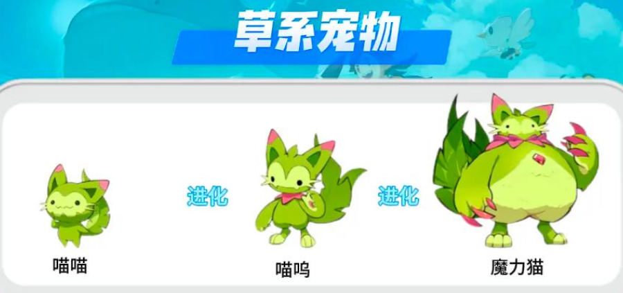 喵喵进化示意图