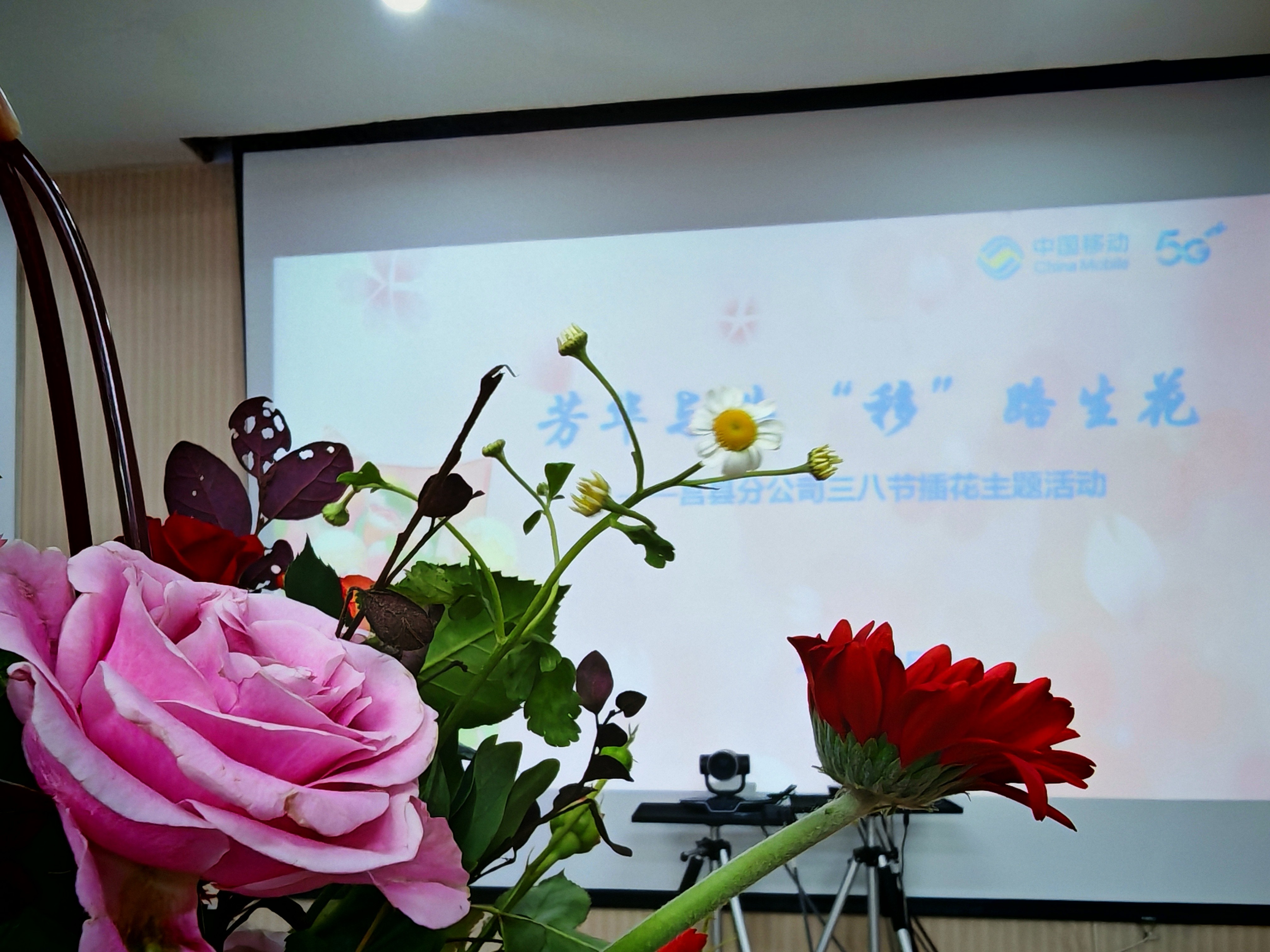 女职工节日咋庆祝?“移”路生花”插花活动-赫兹号卡网-赫兹通讯