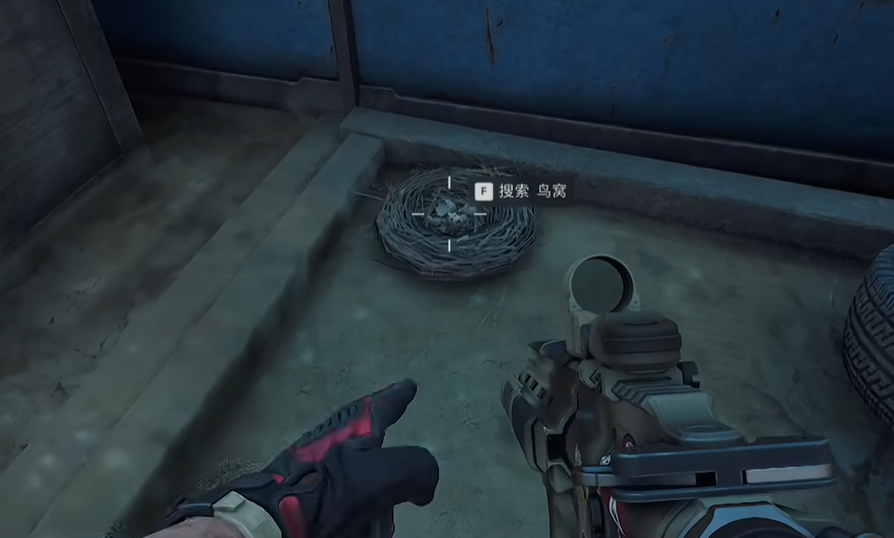 集装箱顶部鸟窝位置