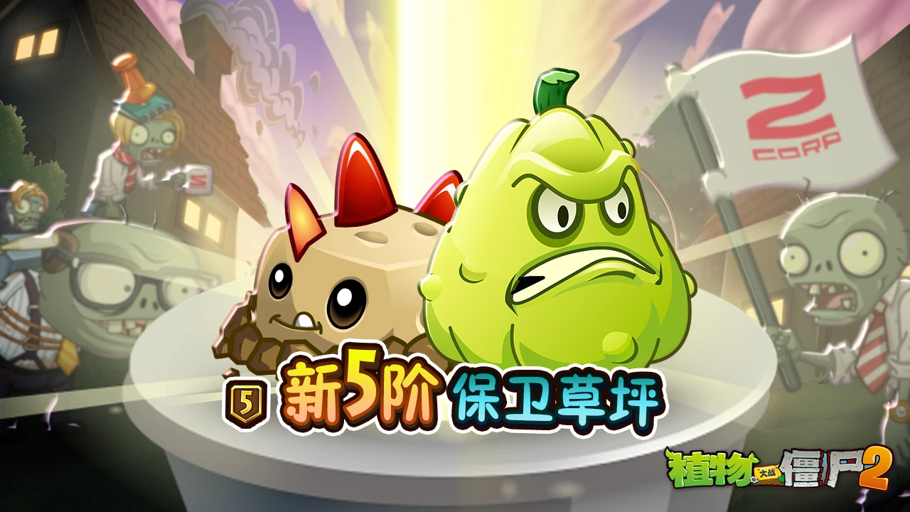 五阶植物