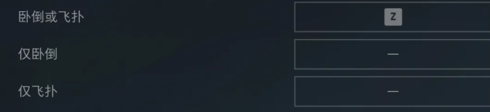 飞扑设置界面截图