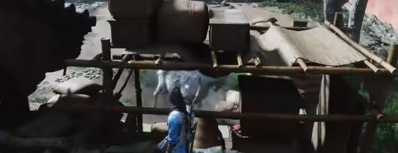 马匹弱点攻击位置示意图