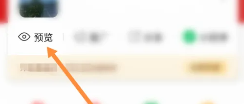预览页面入口
