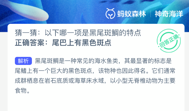 神奇海洋答案：黑尾斑鲷特点-景澄手游网