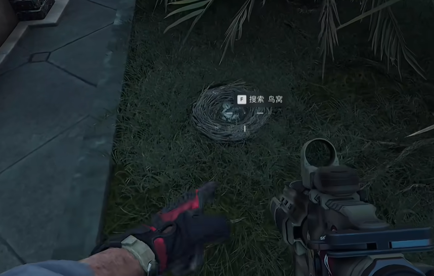 叉车下方鸟窝位置