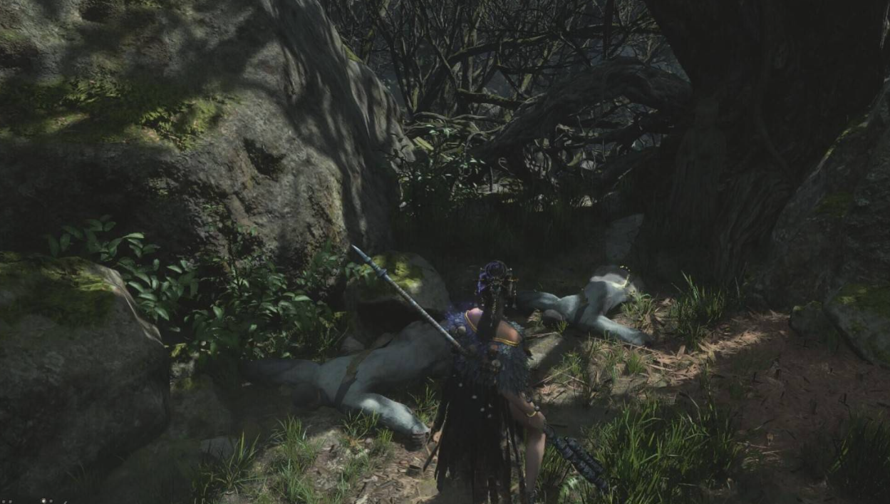 含光禅院布局图