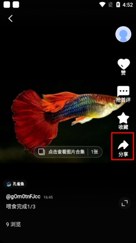 鲲天下APP分享操作界面