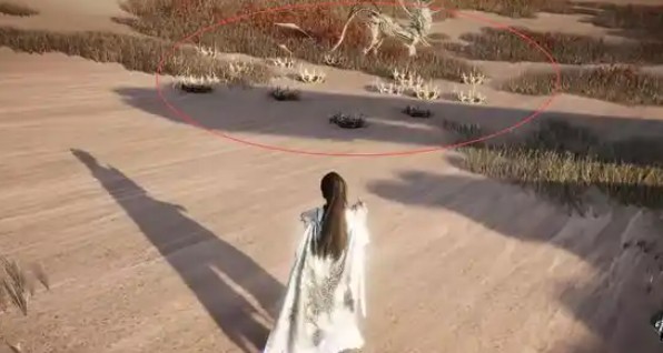 双区域采集示意图