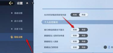 隐私设置入口示意图