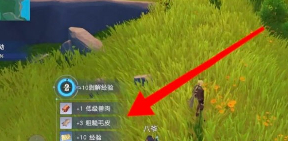 悠星大陆魔物剥解图6