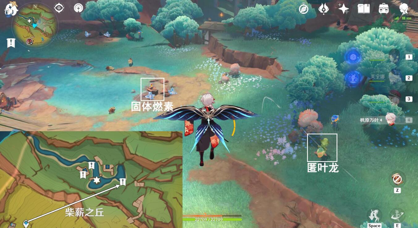 匿叶龙位置